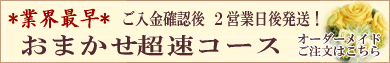 おまかせ超速コース