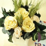 Thumbnail of post image 081