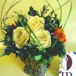 Thumbnail of post image 129
