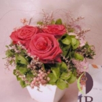 Thumbnail of post image 068