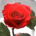 Thumbnail of post image 057