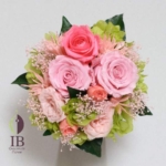 Thumbnail of post image 176