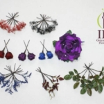 Thumbnail of post image 063