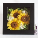 Thumbnail of post image 015