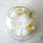 Thumbnail of post image 024