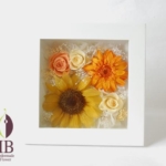Thumbnail of post image 164