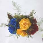 Thumbnail of post image 000