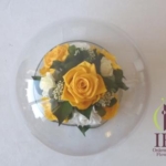 Thumbnail of post image 030