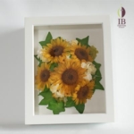 Thumbnail of post image 163