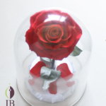 Thumbnail of post image 030