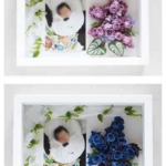 Thumbnail of post image 161