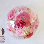 Thumbnail of post image 031