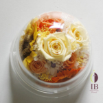 Thumbnail of post image 044