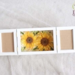 Thumbnail of post image 199