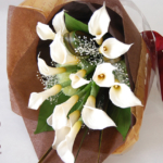 Thumbnail of post image 155