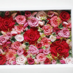 Thumbnail of post image 074