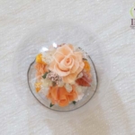 Thumbnail of post image 071