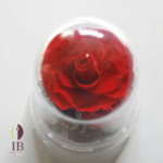 Thumbnail of post image 113