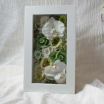 Thumbnail of post image 140