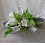 Thumbnail of post image 169