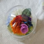 Thumbnail of post image 122