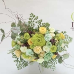 Thumbnail of post image 178