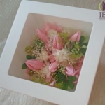 Thumbnail of post image 163