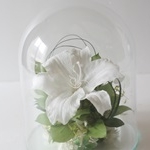 Thumbnail of post image 007