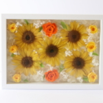 Thumbnail of post image 072