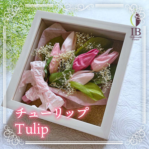 チューリップ Tulip