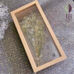 Thumbnail of post image 153