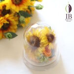 Thumbnail of post image 023