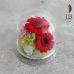 Thumbnail of post image 086