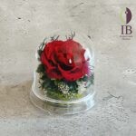 Thumbnail of post image 013