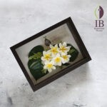 Thumbnail of post image 085