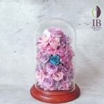 Thumbnail of post image 067