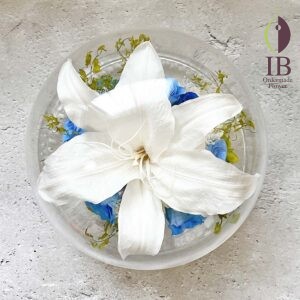 希少なカサブランカのドーム装飾251206a 089