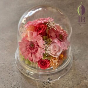 プリザーブドフラワー　感謝の意味のある花ピンクガーベラ　251218im 141