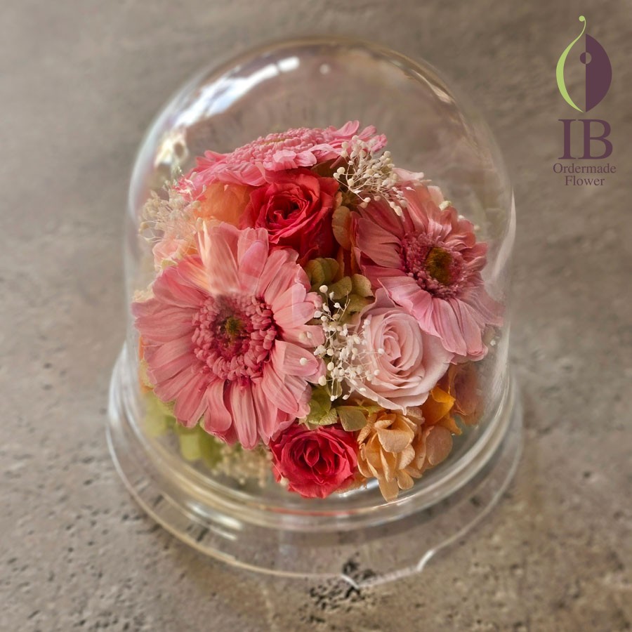 花言葉　感謝　ガーベラ