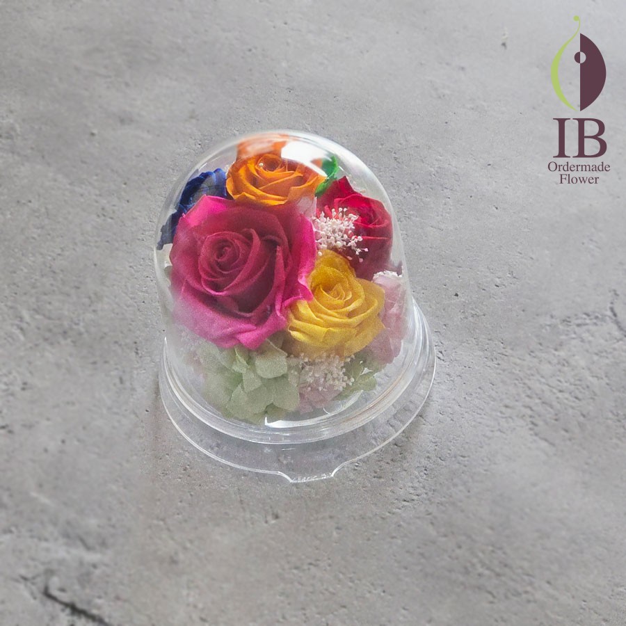 プリザーブドフラワー　俳優　推し活　ドーム