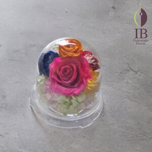 プリザーブドフラワー　楽屋見舞　251224am 140