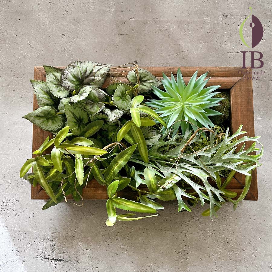 オフィス用グリーン