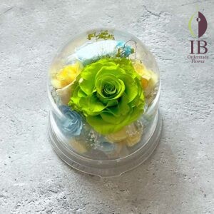 推しのアイドルさま生誕お祝い用のドーム装飾260208o 158