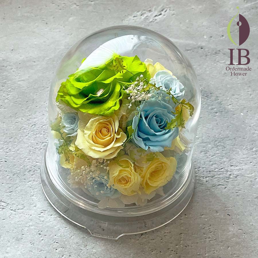 推しカラーのバラ