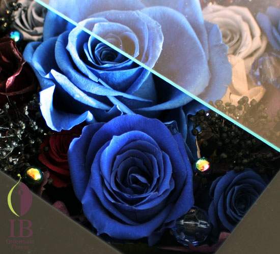 プリザードフラワー バラ ロイヤルブルー/><br />
高級感のあるロイヤルブルーのバラ<br /><img decoding=