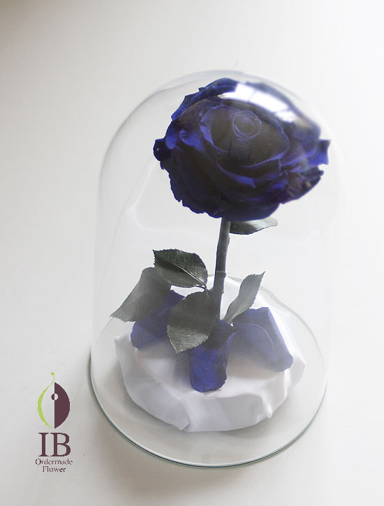ガラスドームのお花　青いバラ